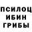 Псилоцибиновые грибы GOLDEN TEACHER MagnumTriumph