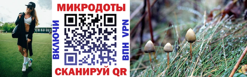 Галлюциногенные грибы Psilocybine cubensis  Белёв 